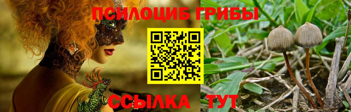 Дивногорск  Галлюциногенные грибы Magic Shrooms  даркнет сайт  Вход с VPN  Псилоцибиновые грибы Magic Shrooms 